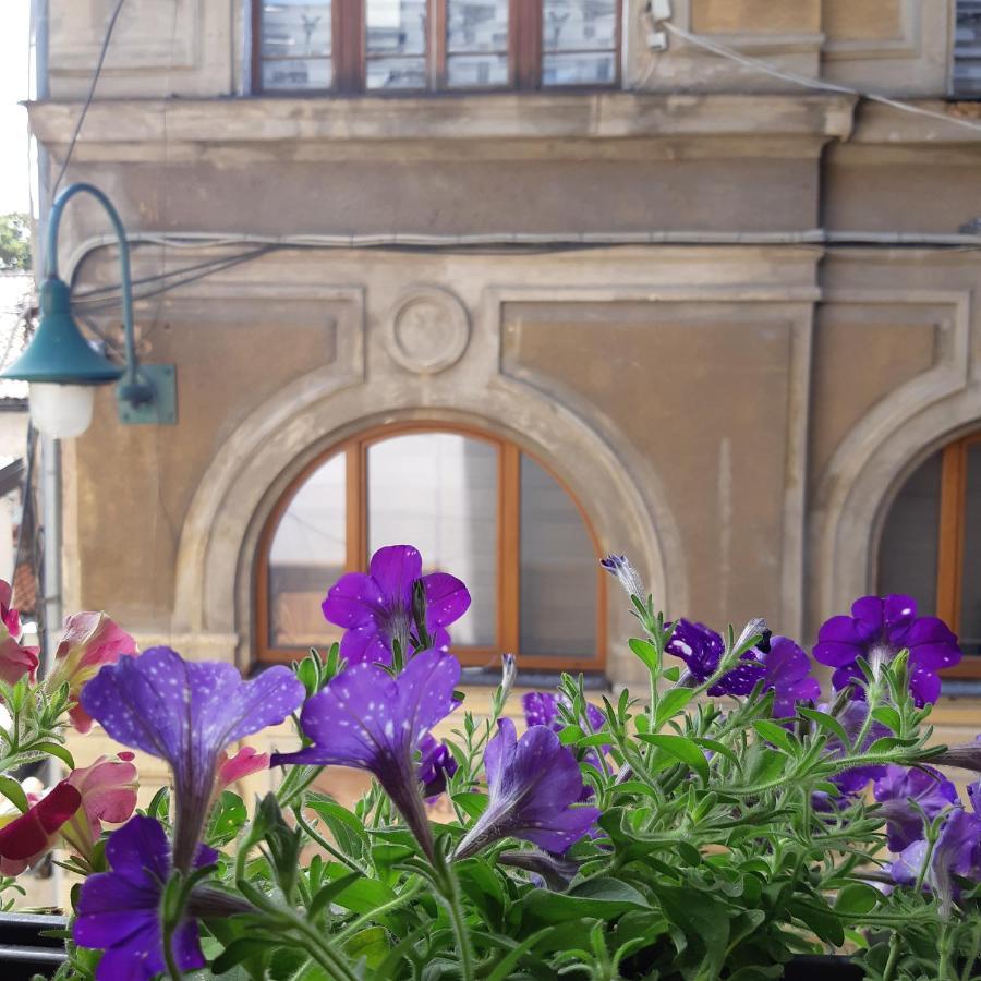 Apartments Protin Sokak Sarajewo Zewnętrze zdjęcie